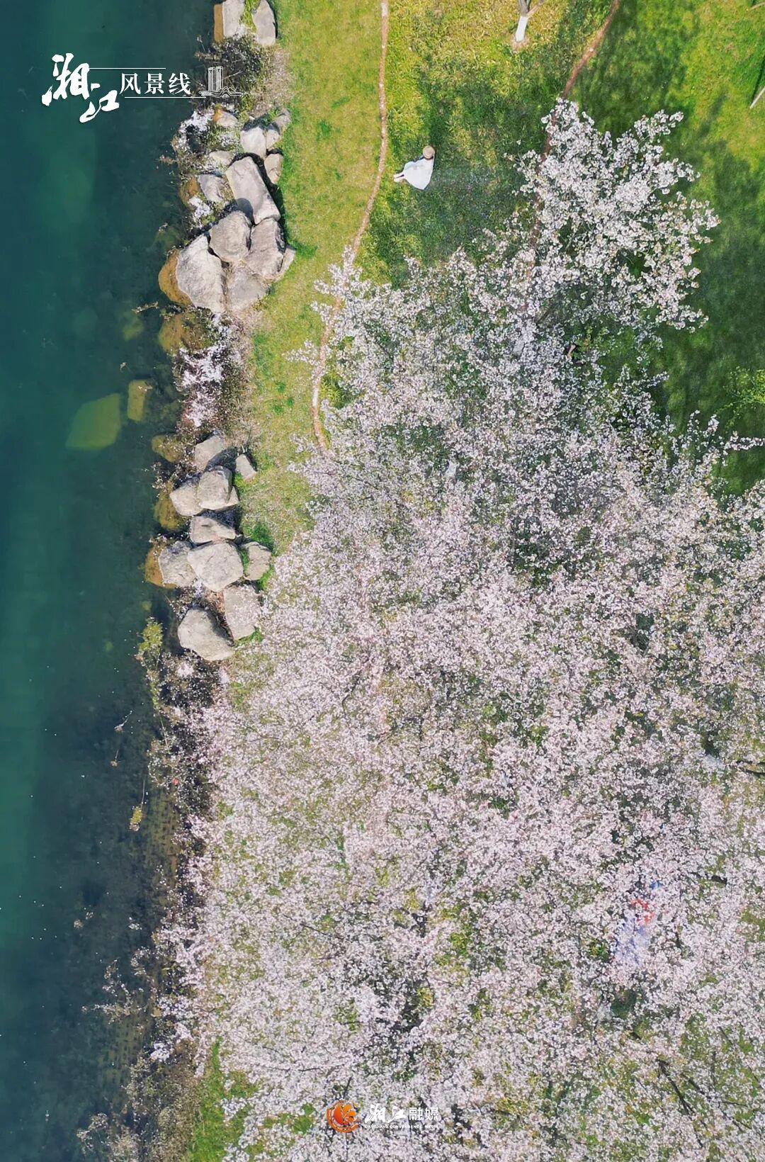 �����C(j��)�����